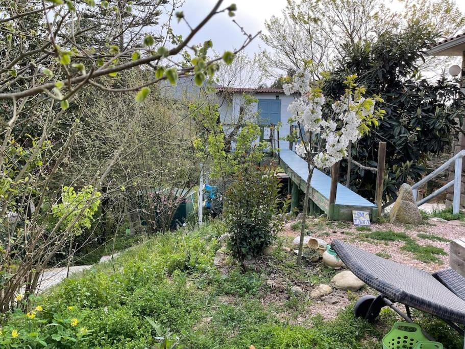 Raconet Azul - Circuito Cataluna Vallromanes Dış mekan fotoğraf